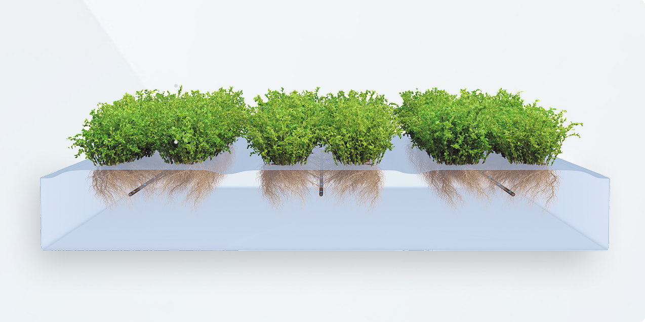 Precise irrigation of the root zone