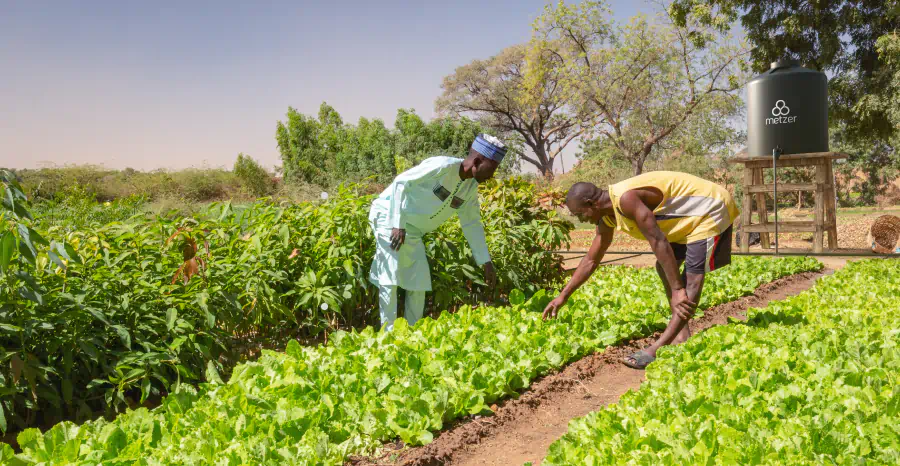 Harnessing Gravity for the benefit of small  family plots 