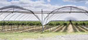 คำถามและคำตอบเกี่ยวกับดริปเปอร์