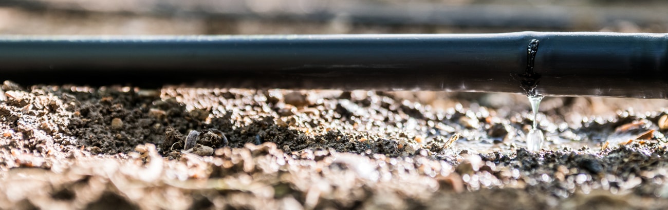 คุณภาพน้ำสำหรับไมโครชลประทาน