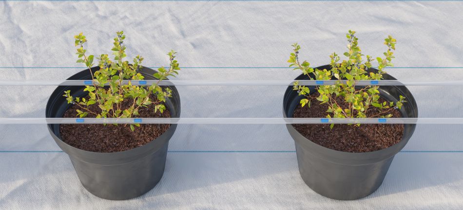 Customized Drippers location