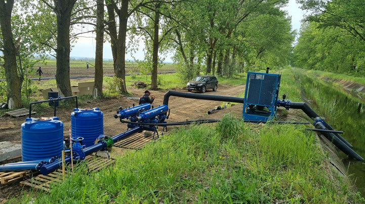 เพิ่มผลผลิตมะเขือเทศในยูเครน