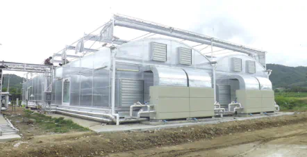 การเพาะปลูกอย่างแม่นยำในโรงเรือนแม่พันธุ์ของโรงไวน์