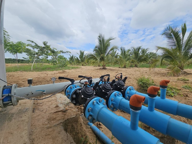 ระบบชลประทานแม่นยำสำหรับพืชสองชนิด